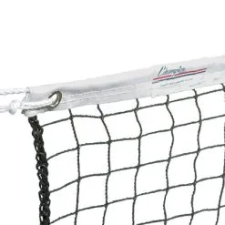 Champion Sports Champion Badminton Net, 20 X 2-1/2 Feet